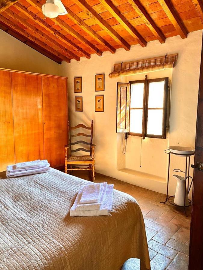 Winery Houses In Chianti 메르카탈레 발 디 페사 외부 사진
