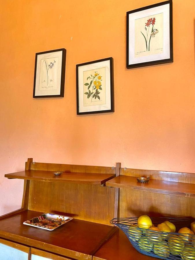 Winery Houses In Chianti 메르카탈레 발 디 페사 외부 사진