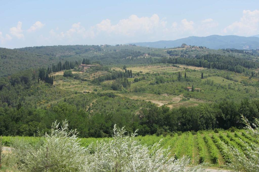 Winery Houses In Chianti 메르카탈레 발 디 페사 객실 사진