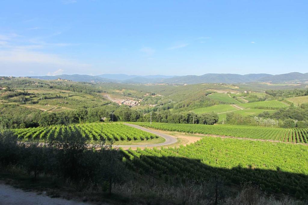 Winery Houses In Chianti 메르카탈레 발 디 페사 외부 사진