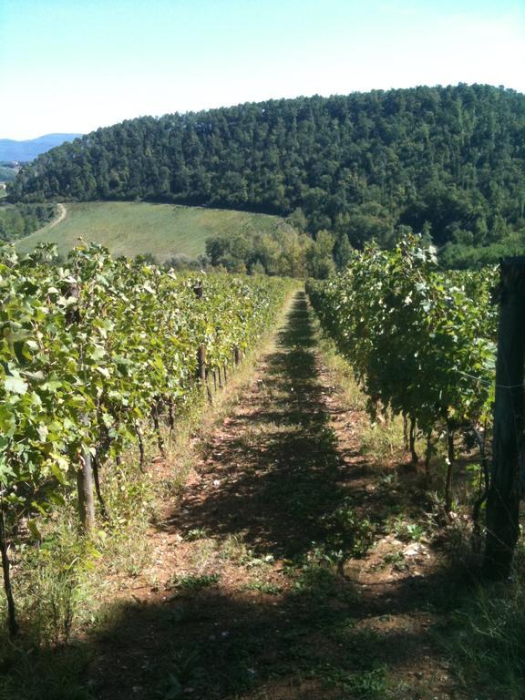 Winery Houses In Chianti 메르카탈레 발 디 페사 객실 사진